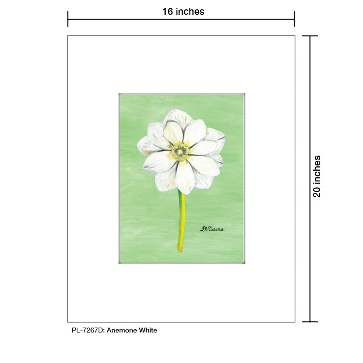 Anemone White, Print (#7267D) - Printed Canvas
