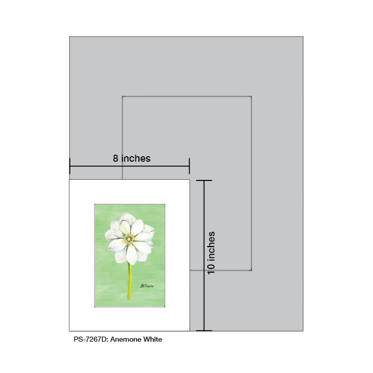 Anemone White, Print (#7267D) - Printed Canvas