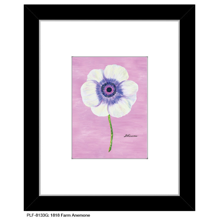 1818 Farm Anemone, Print (#8133G), Print Matted, www.printedcanvas.com