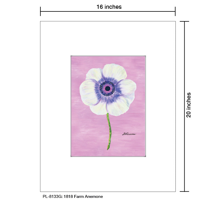 1818 Farm Anemone, Print (#8133G), Printe Matted, www.printedcanvas.com