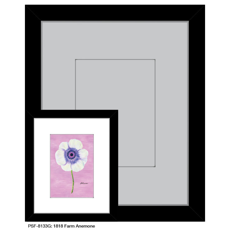 1818 Farm Anemone, Print (#8133G), Print Matted, www.printedcanvas.com