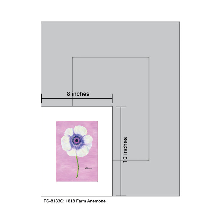 1818 Farm Anemone, Print (#8133G), Print Matted, www.printedcanvas.com