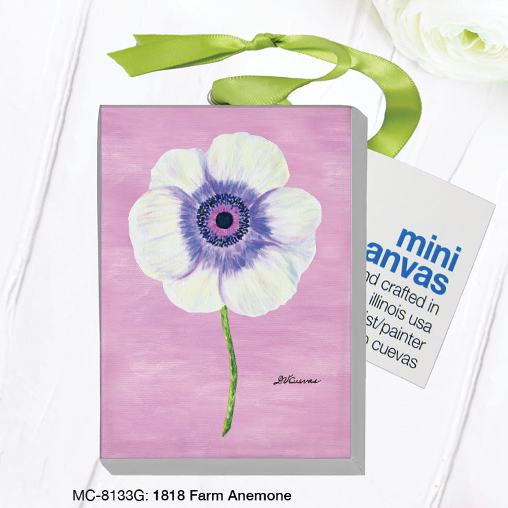 1818 Farm Anemone, Mini Canvas (MC-8133G), Front, printedcanvas.com