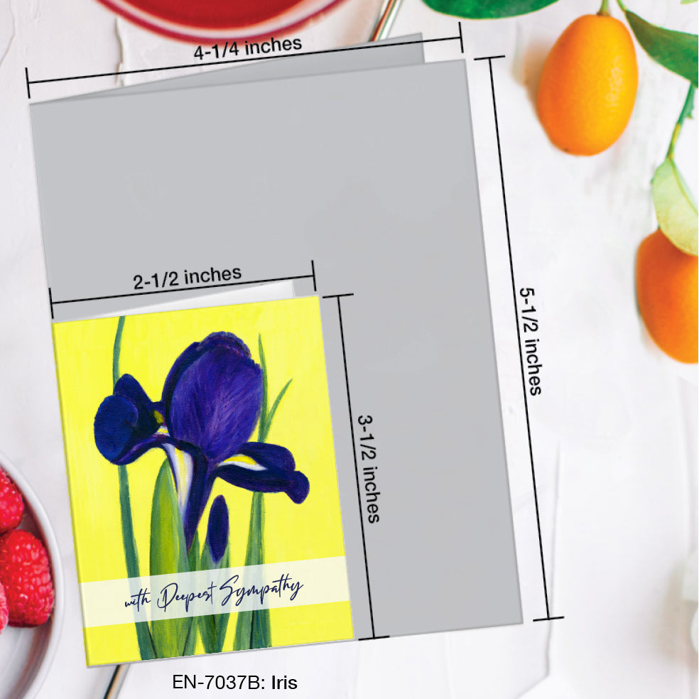 Iris, Greeting Card (#7037B)