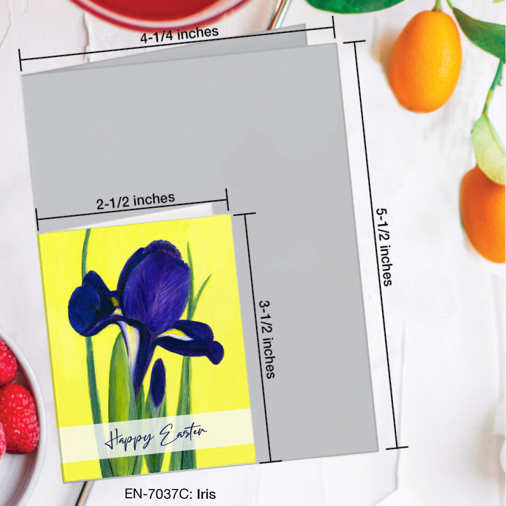 Iris, Greeting Card (#7037C)
