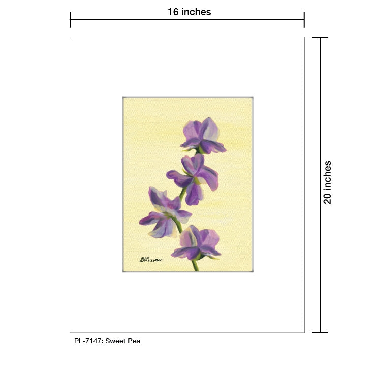 Sweet Pea, Print (#7147A)