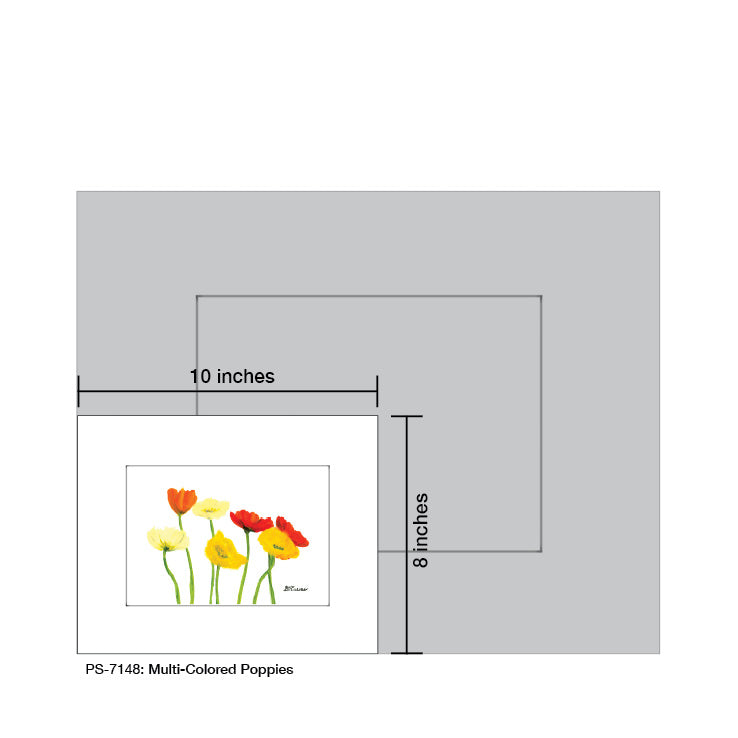 Multi-Colored Poppies on White, Print (#7148A)