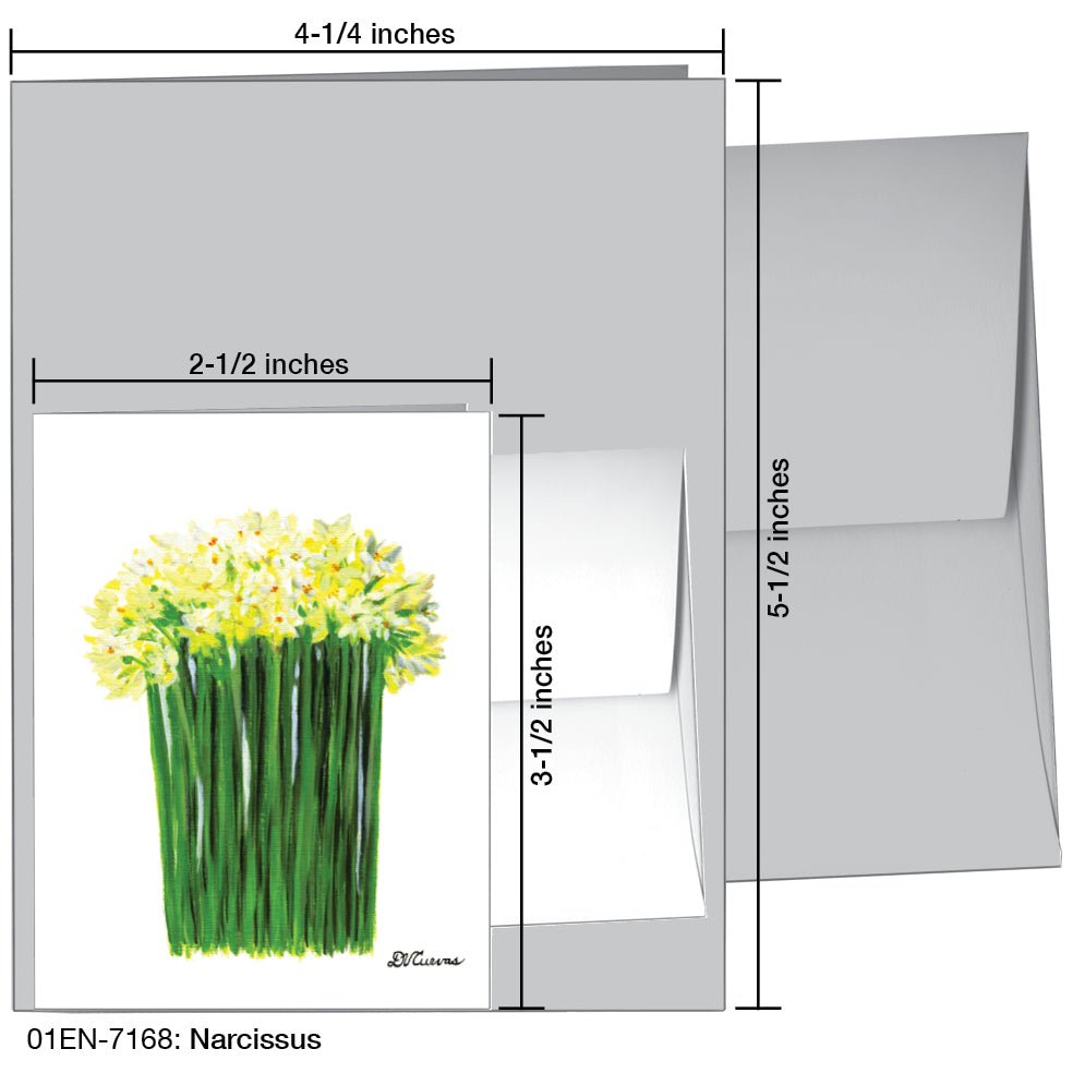 Narcissus, Greeting Card (7168A), Enclosure Card, www.printedcanvas.com