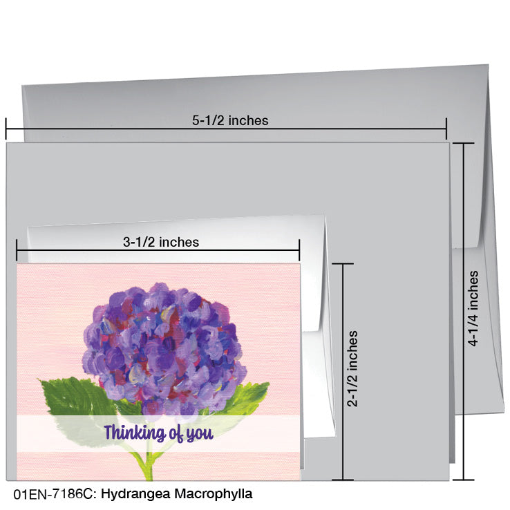 Hydrangea Macrophylla, Greeting Card (7186C), Enclosure, www.printedcanvas.com