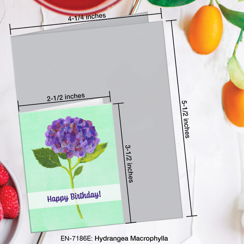 Hydrangea Macrophylla, Greeting Card (7186E), Enclosure, www.printedcanvas.com