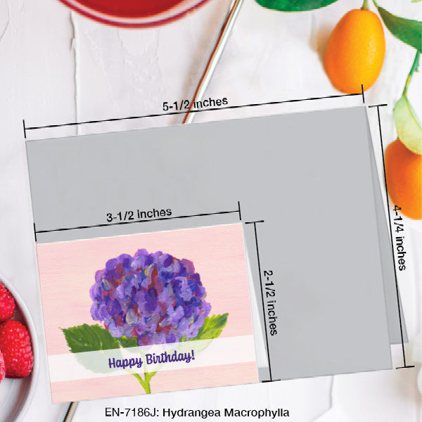 Hydrangea Macrophylla, Greeting Card (7186J), Enclosure, www.printedcanvas.com