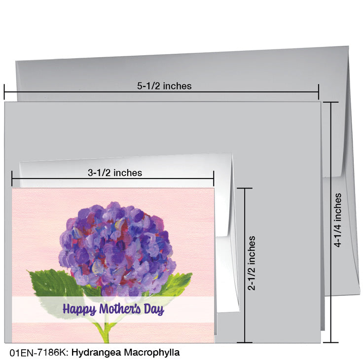 Hydrangea Macrophylla, Greeting Card (7186K), Enclosure Card, www.printedcanvas.com