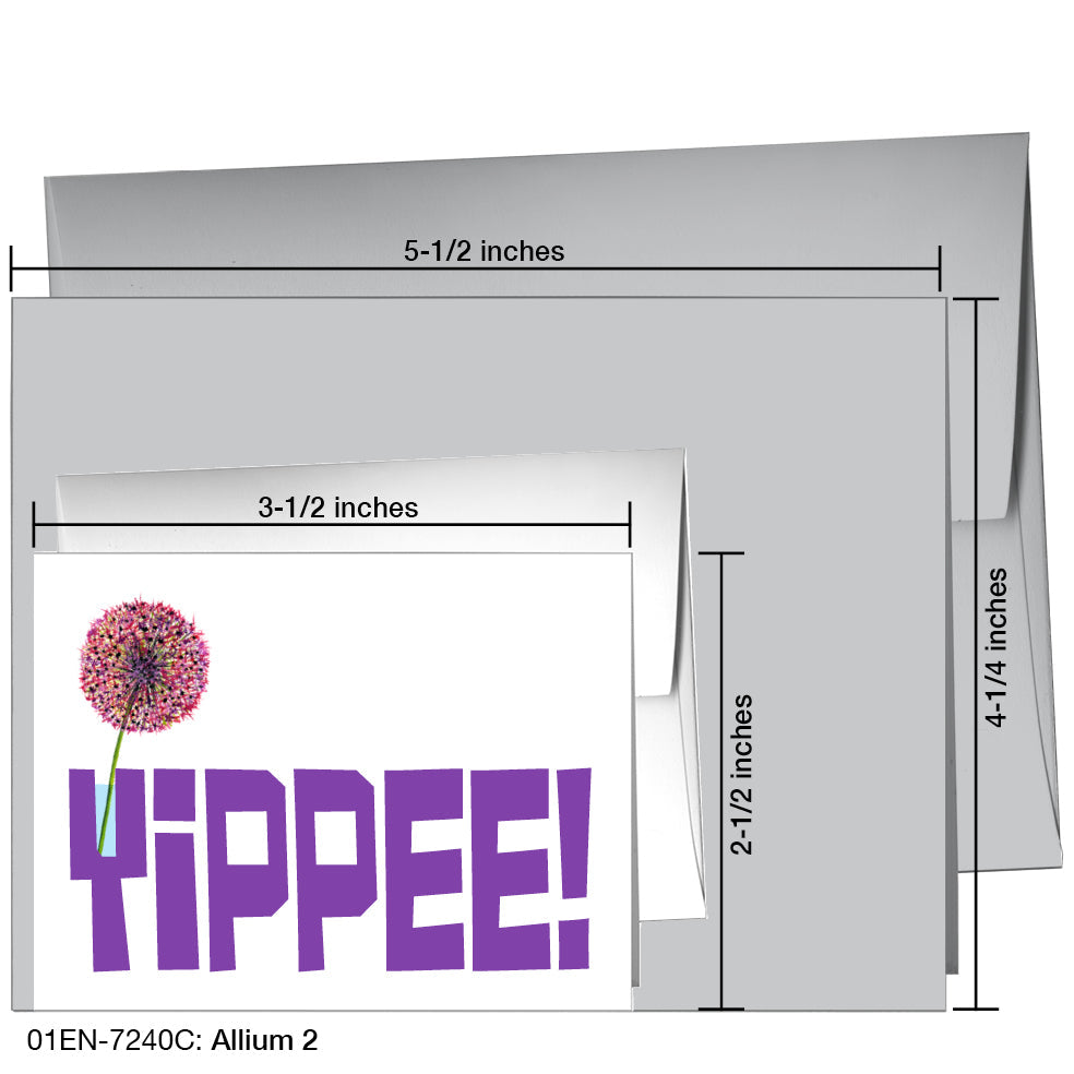 Allium 2, Greeting Card (7240C), Enclosure, www.printedcanvas.com