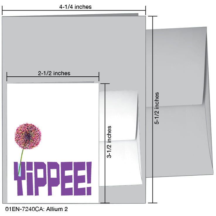 Allium 2, Greeting Card (#7240CA)