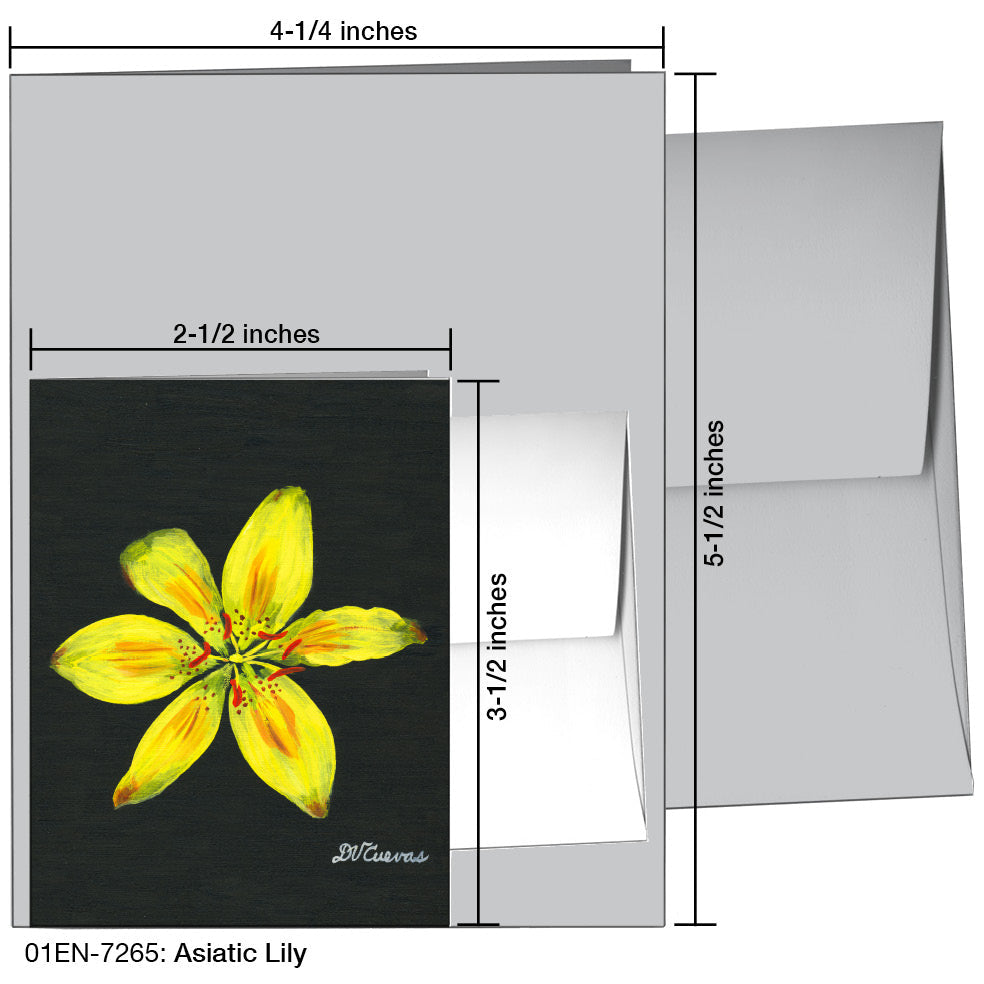 Asiatic Lily, Greeting Card (7265A), Enclosure Card, www.printedcanvas.com