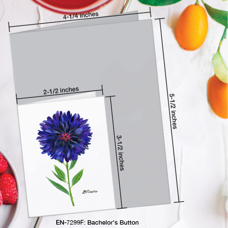 Bachelor's Button, Greeting Card (#7299F)