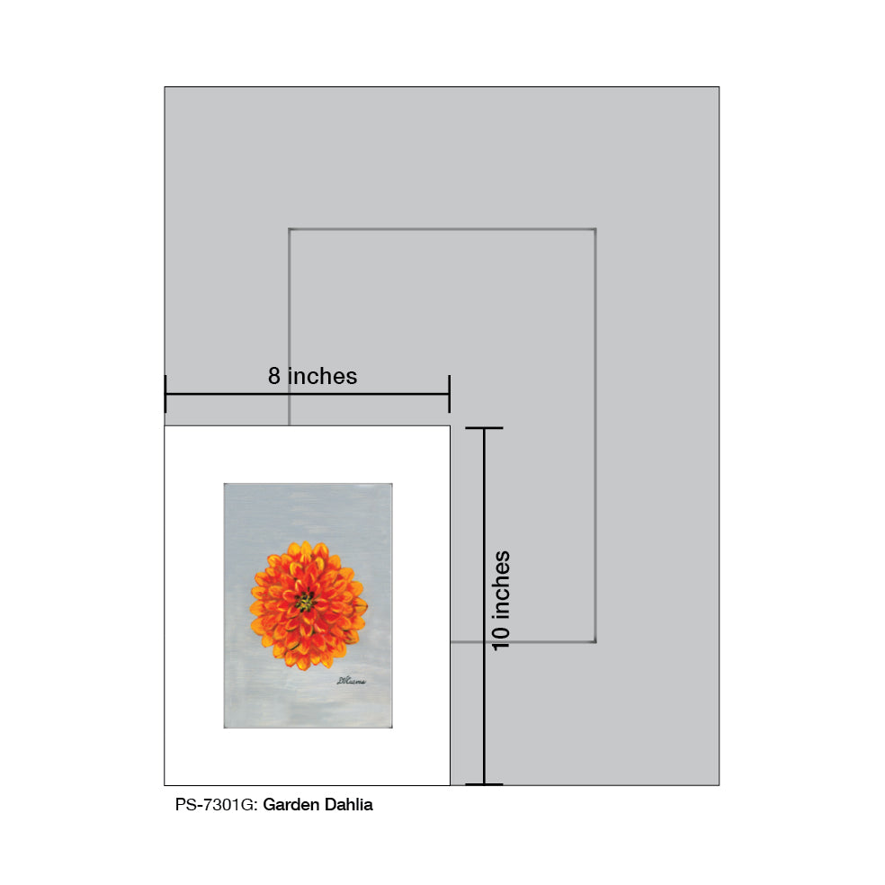 Garden Dahlia, Print (#7301G)
