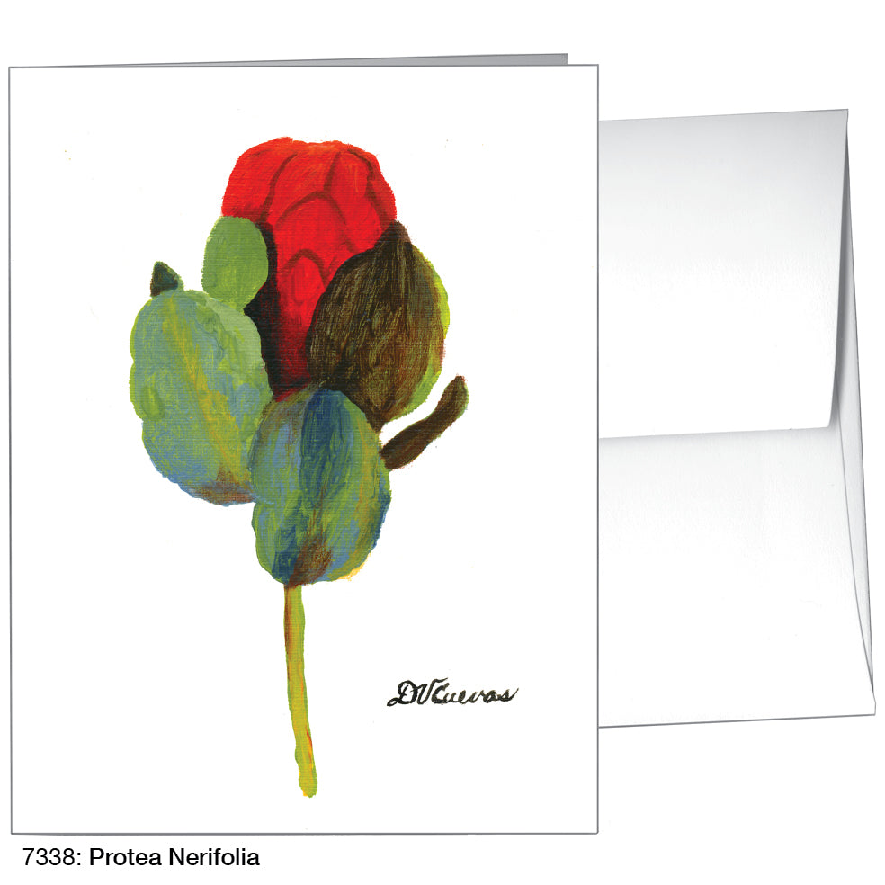 Protea Nerifolia, Greeting Card (7338), A2, printedcanvas.com