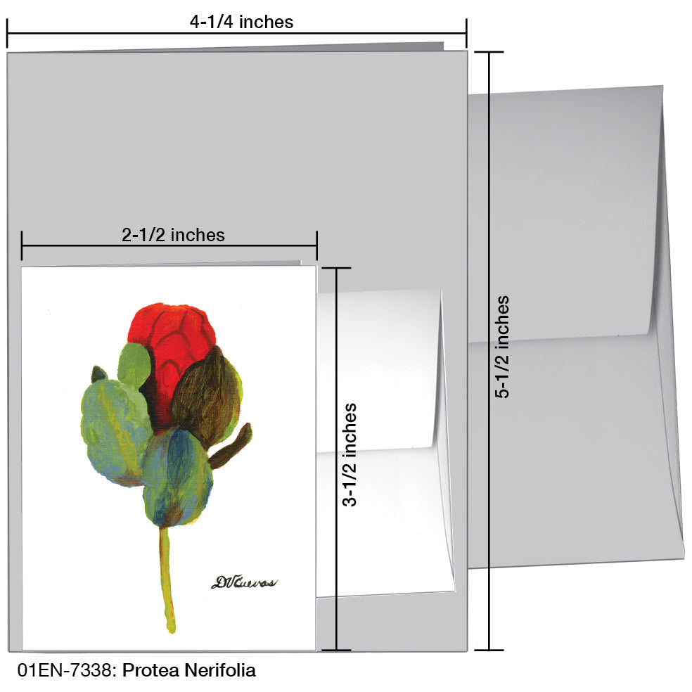 Protea Nerifolia, Greeting Card (7338), Enclosure, printedcanvas.com