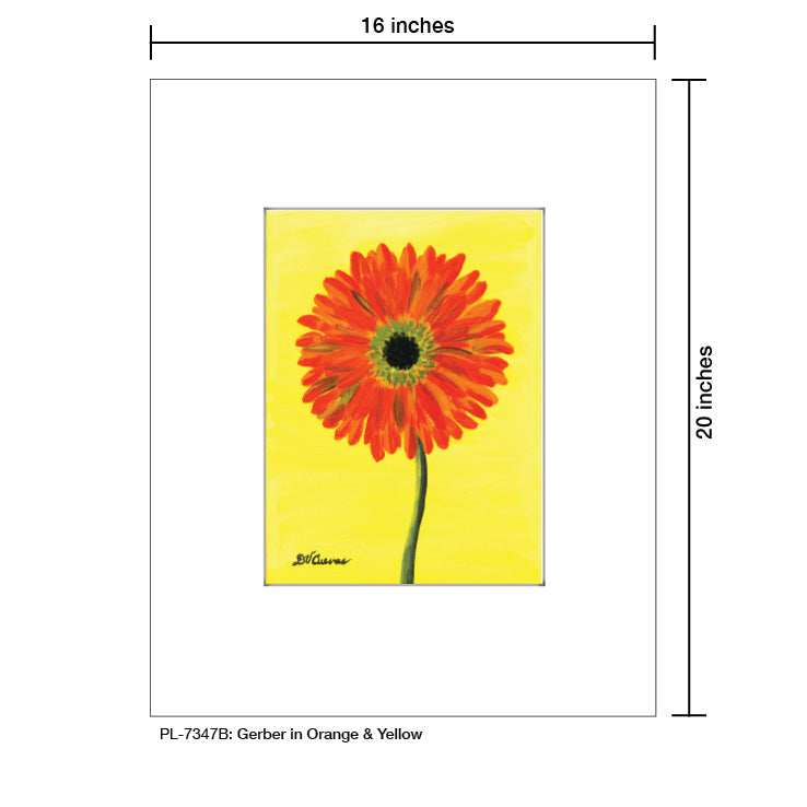 Gerber in Orange & Yellow, Print (#7347B), Printe Matted, www.printedcanvas.com