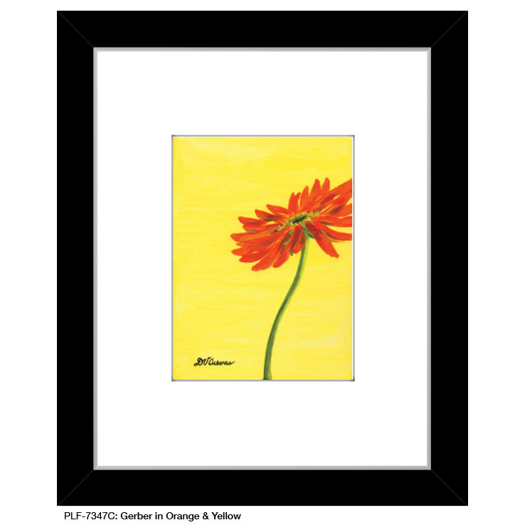 Gerber in Orange & Yellow, Print (#7347C)
