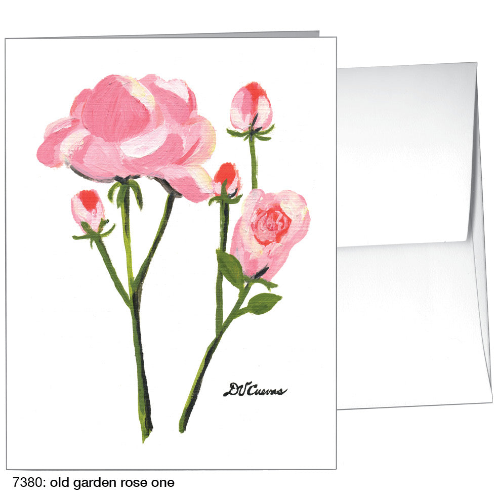 Old Garden Rose 1, Greeting Card (7380), A2, printedcanvas.com