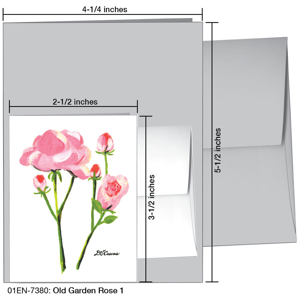 Old Garden Rose 1, Greeting Card (7380)