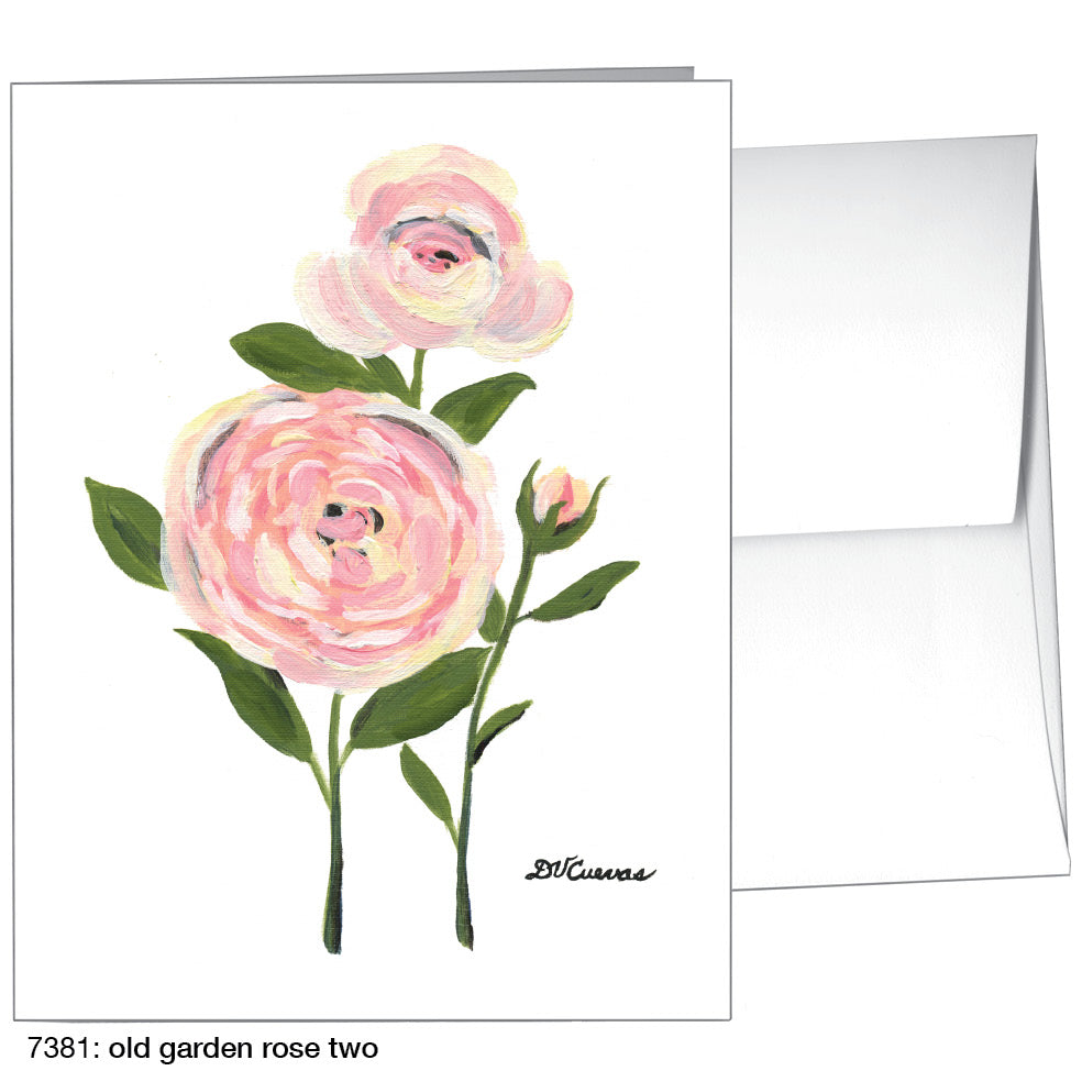 Old Garden Rose 2, Greeting Card (7381A), A2 Card, printedcanvas.com