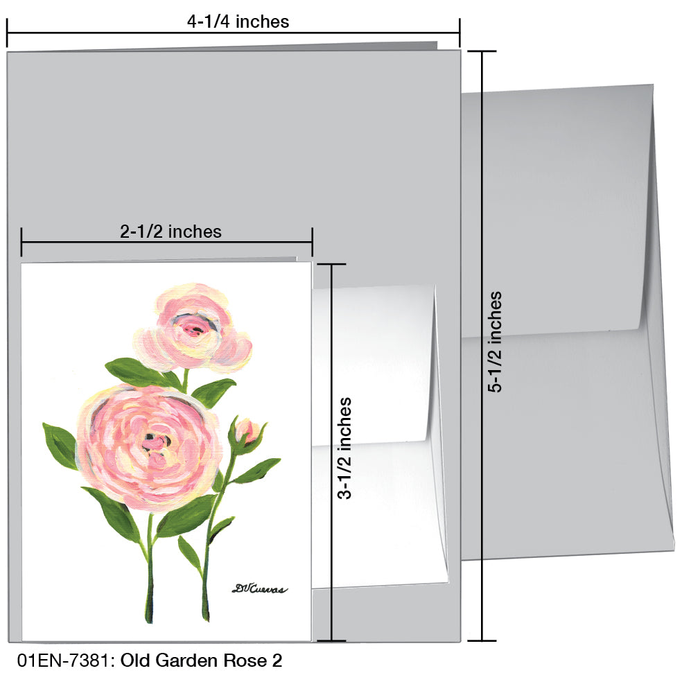 Old Garden Rose 2, Greeting Card (7381A), Enclosure Card, printedcanvas.com