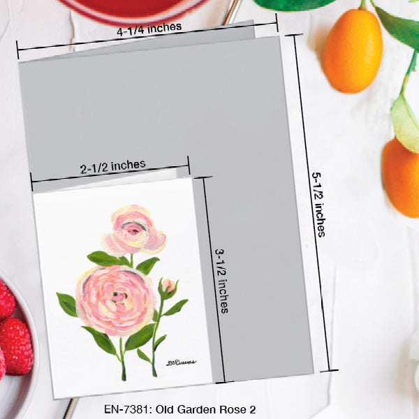 Old Garden Rose 2, Greeting Card (7381A), Enclosure Card, www.printedcanvas.com