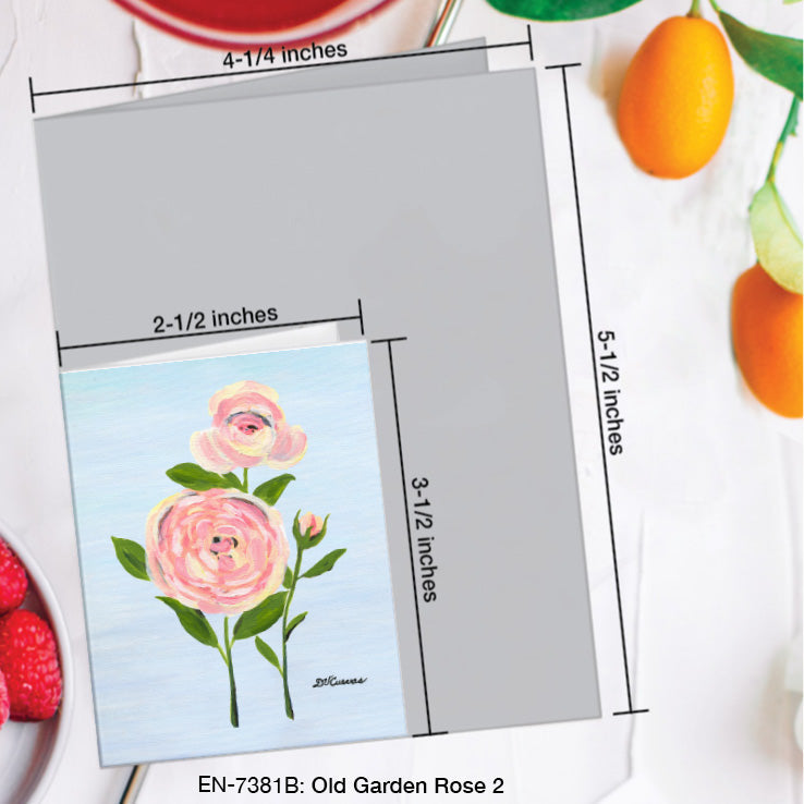 Old Garden Rose 2, Greeting Card (7381B), Enclosure Card, www.printedcanvas.com