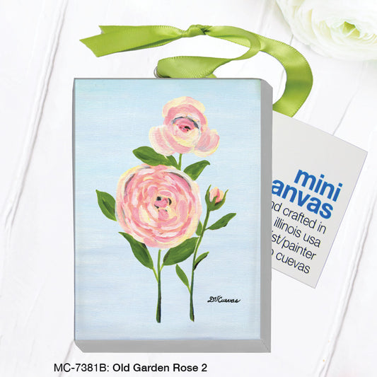 Old Garden Rose 2, Mini Canvas (MC-7381B)