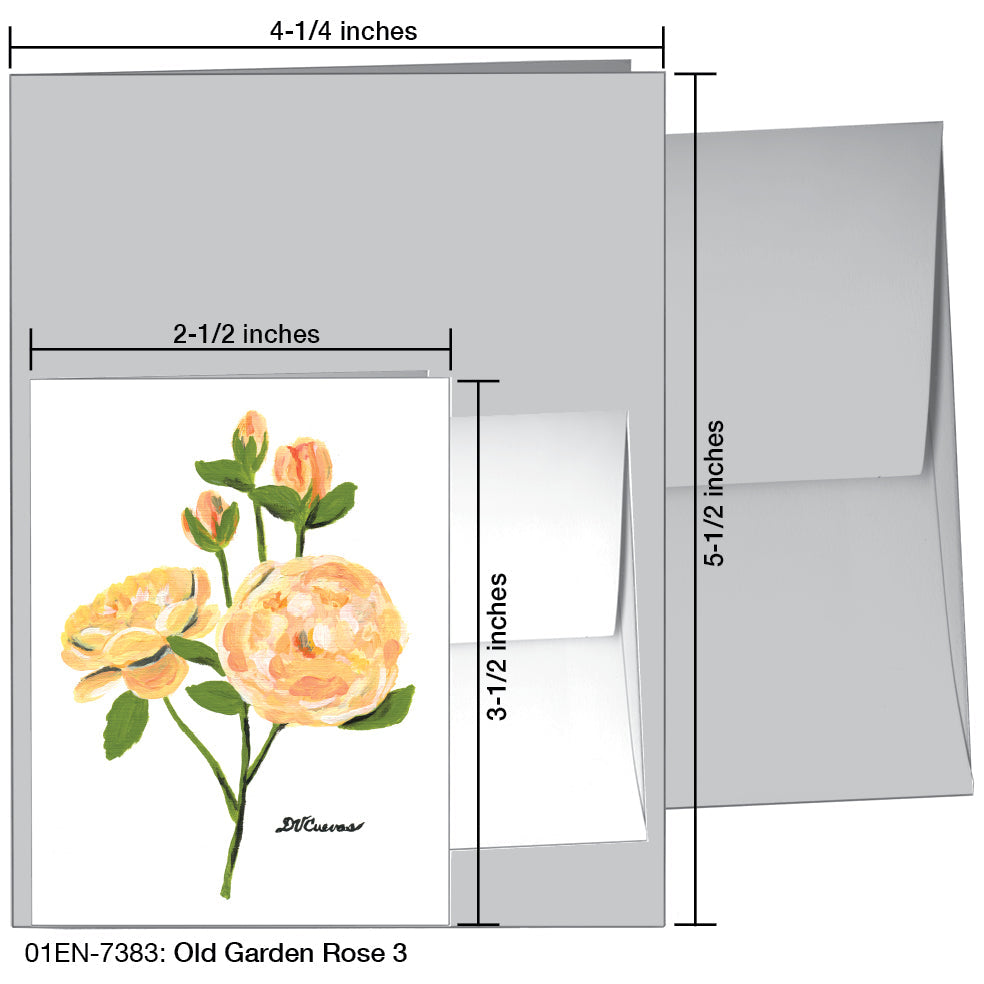 Old Garden Rose 3, Greeting Card (7383A), Enclosure, www.printedcanvas.com