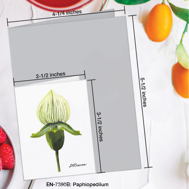 Paphiopedilum, Greeting Card (7390B), Enclosure Card, www.printedcanvas.com