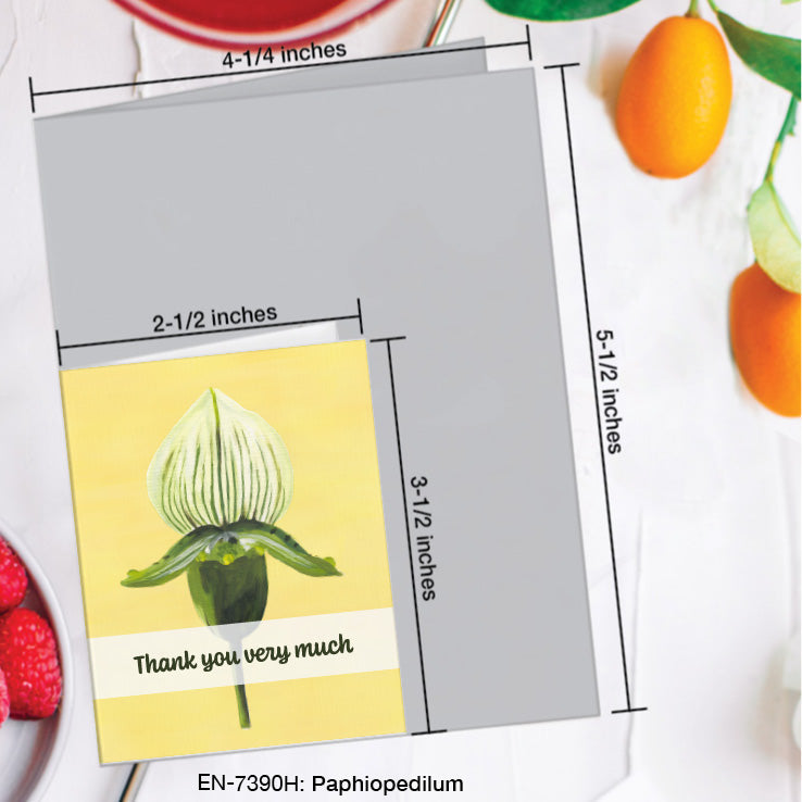 Paphiopedilum, Greeting Card (7390H), Enclosure Card, www.printedcanvas.com