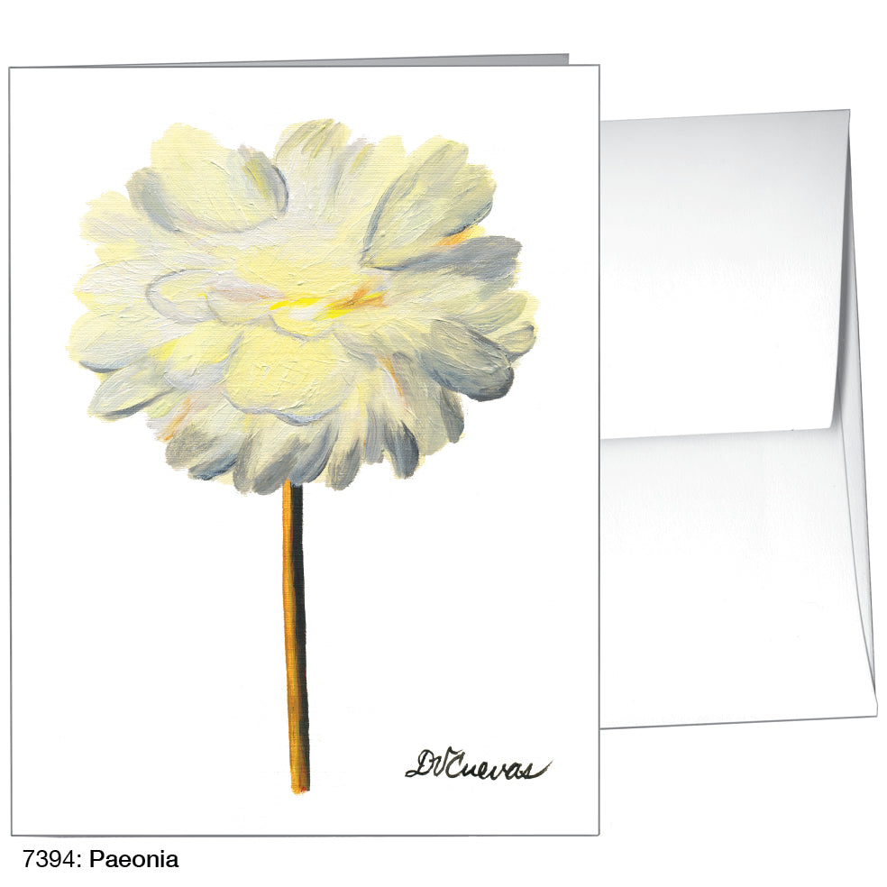 Paeonia, Greeting Card (7394), A2, printedcanvas.com