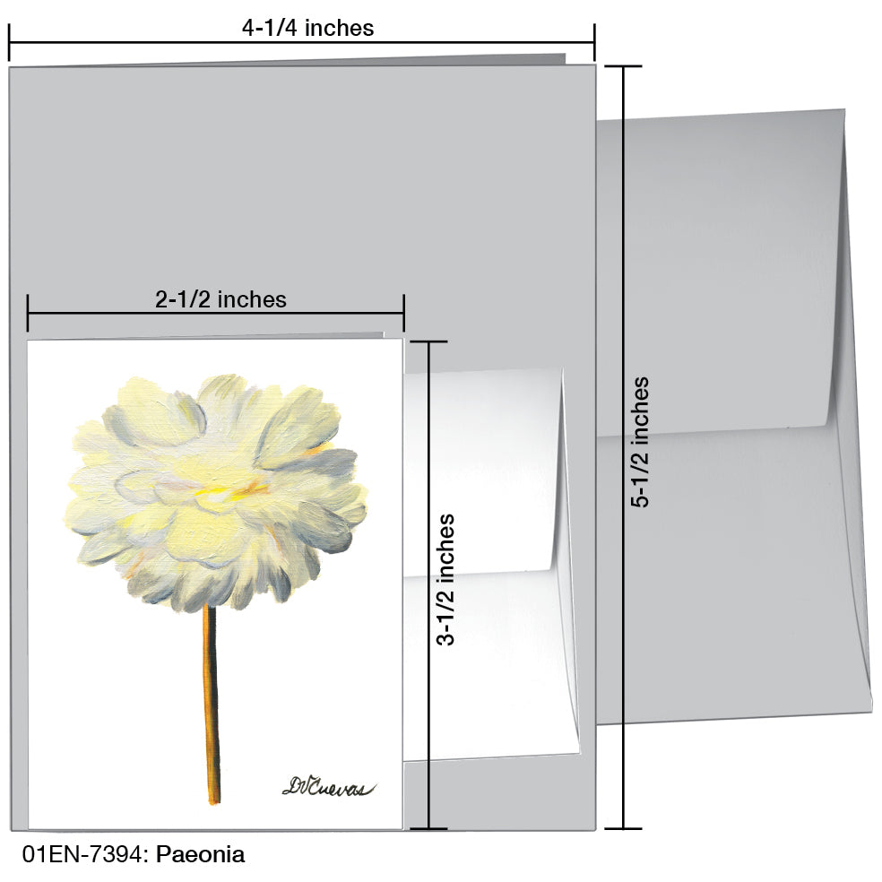 Paeonia, Greeting Card (7394B), Enclosure, www.printedcanvas.com