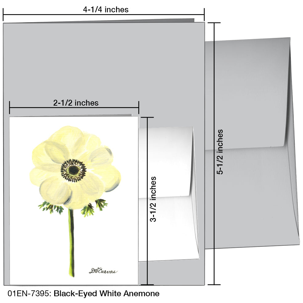 Black-Eyed White Anemone, Greeting Card (7395D), Enclosure, www.printedcanvas.com