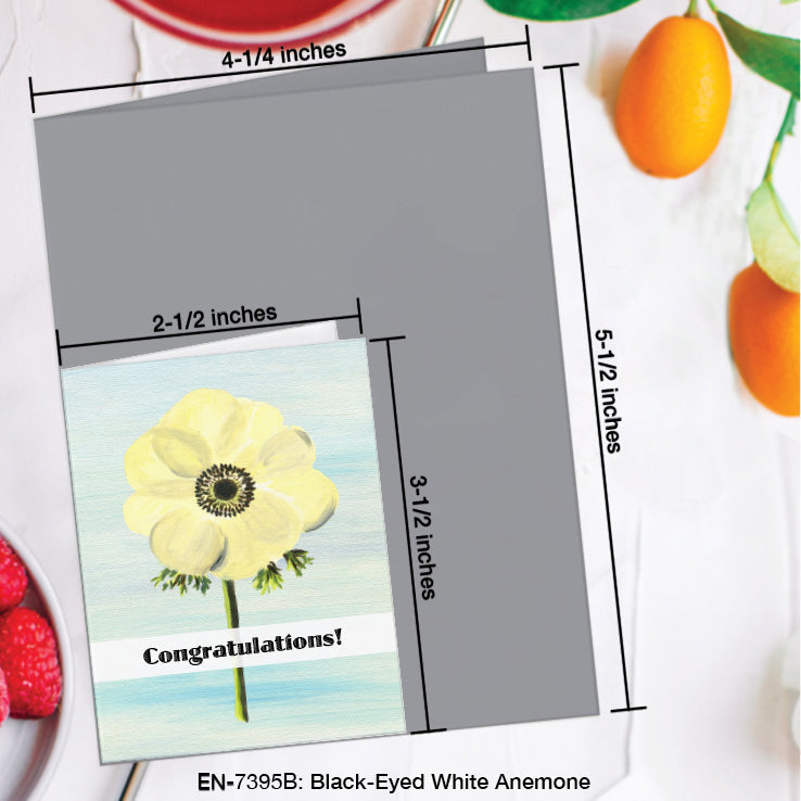 Black-Eyed White Anemone, Greeting Card (7395B), Enclosure, www.printedcanvas.com