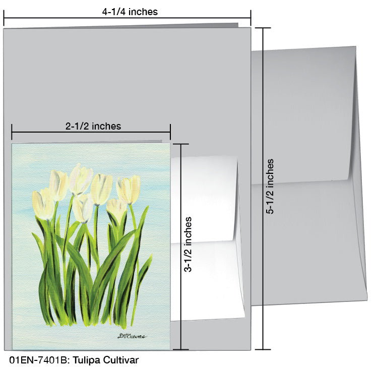 Tulipa Cultivar, Greeting Card (7401B), Enclosure, www.printedcanvas.com