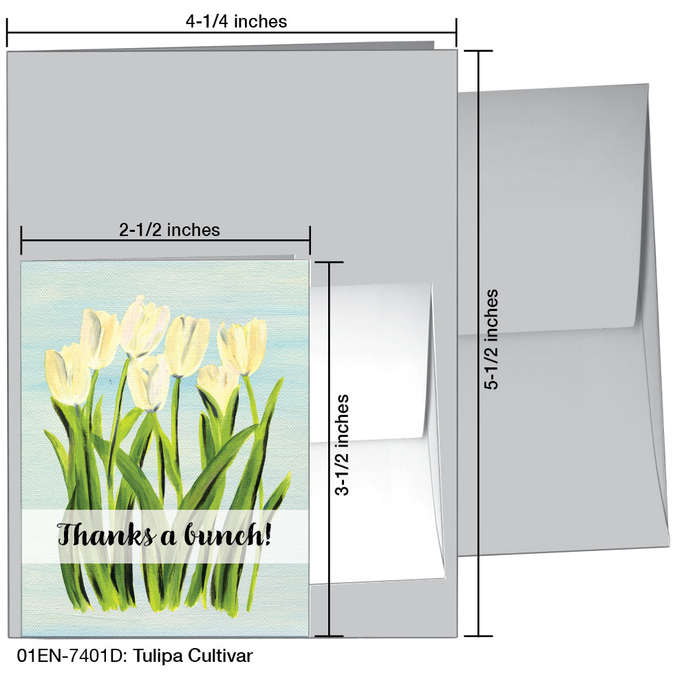 Tulipa Cultivar, Greeting Card (7401D), Enclosure Card, www.printedcanvas.com