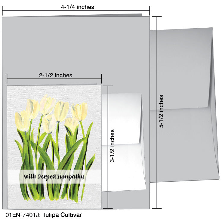 Tulipa Cultivar, Greeting Card (7401J), Enclosure Card, www.printedcanvas.com