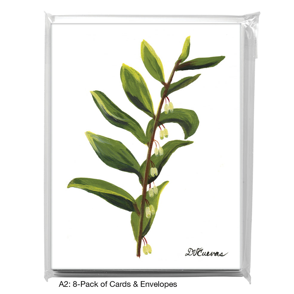 Solomon's Seal, Greeting Card (7404), A2 8-Pack, printedcanvas.com