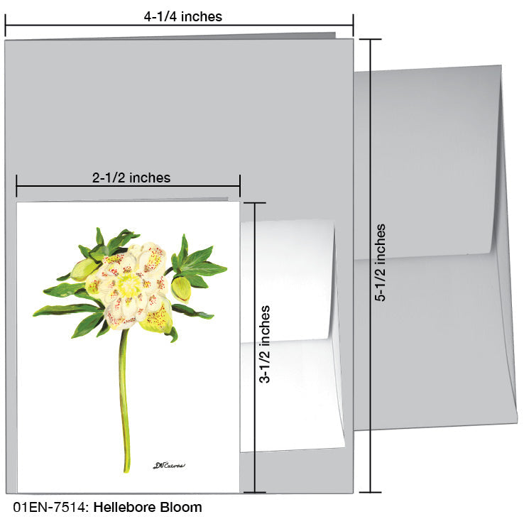 Hellebore Bloom, Greeting Card (7514A), Enclosure, www.printedcanvas.com