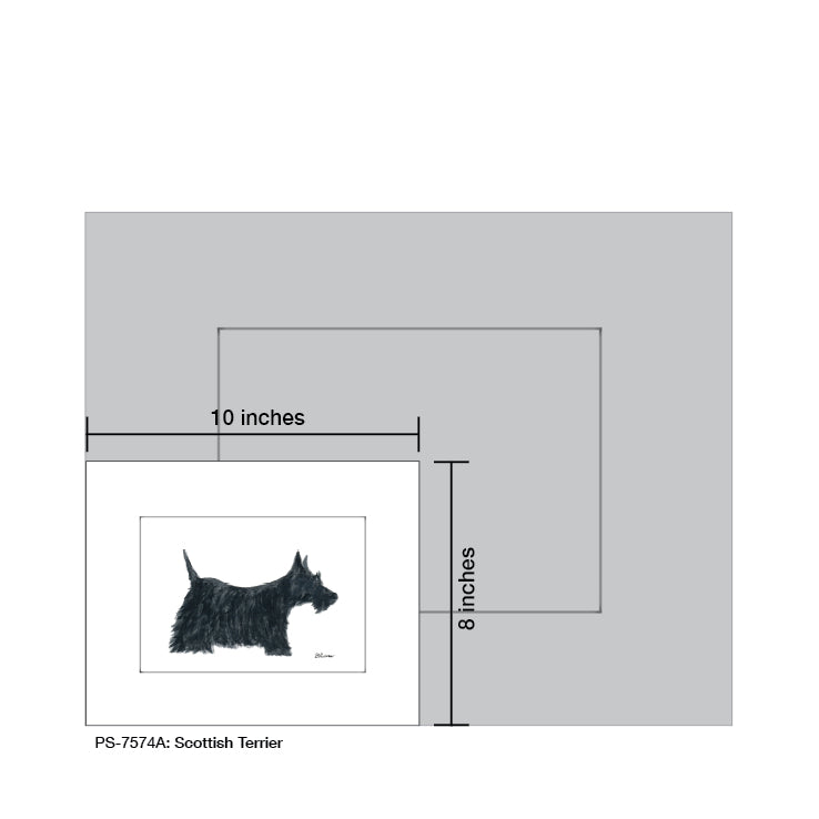 Scottish Terrier, Print (#7574A)