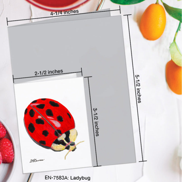 Ladybug, Greeting Card (7583A), Enclosure Card, www.printedcanvas.com