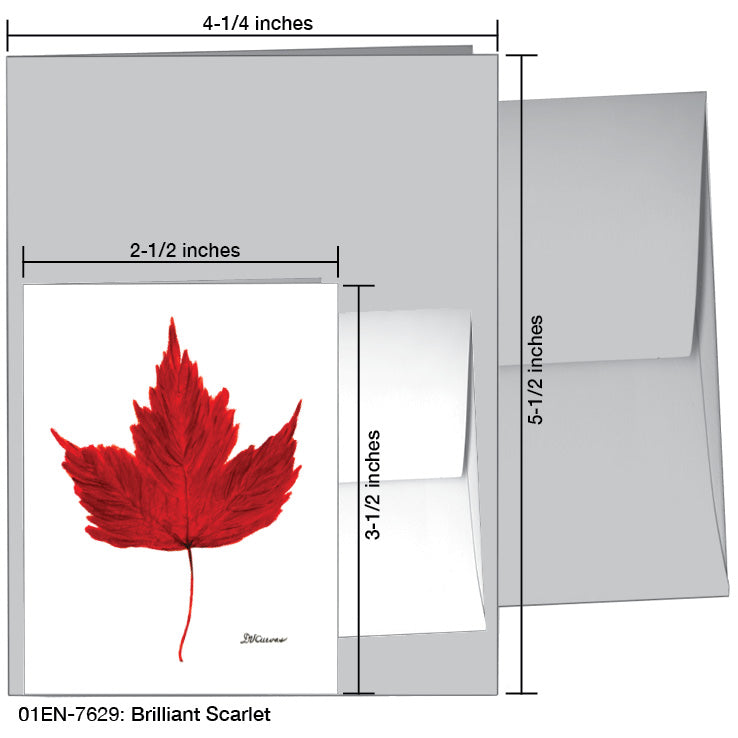 Brilliant Scarlet, Greeting Card (7629A), Enclosure, www.printedcanvas.com