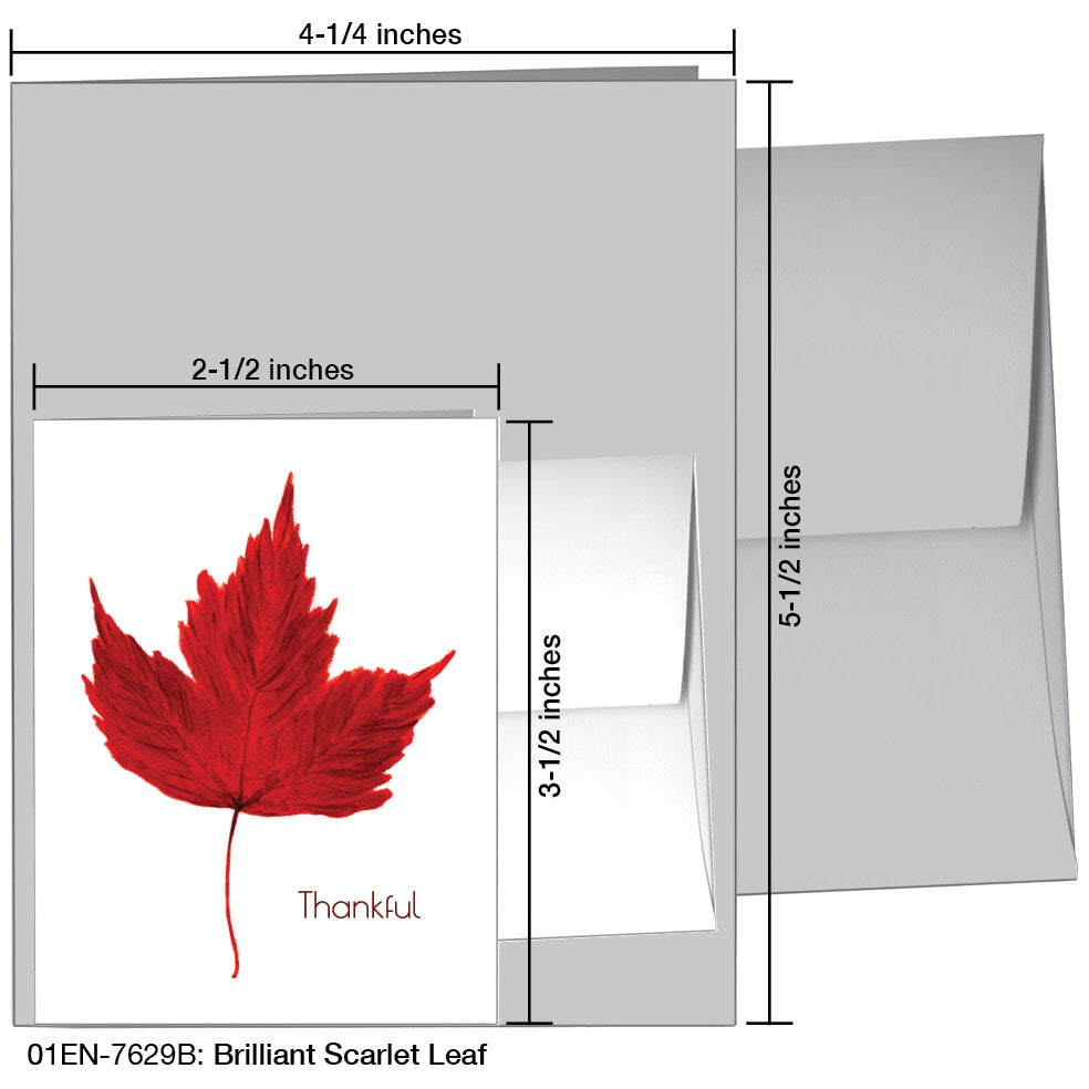 Brilliant Scarlet Leaf, Greeting Card (#7629B)
