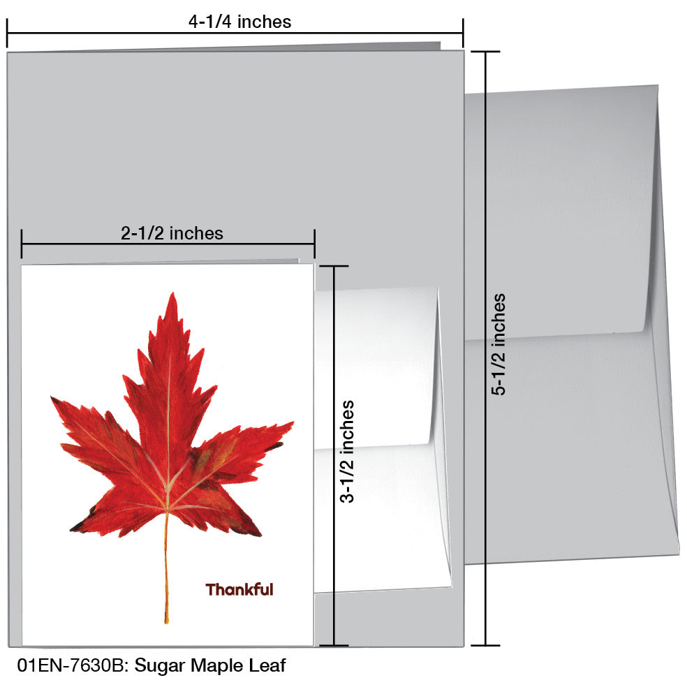 Sugar Maple Leaf, Greeting Card (#7630B)
