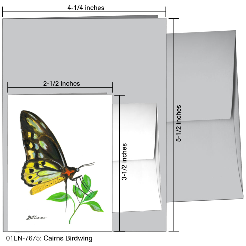 Cairns Birdwing, Greeting Card (7675E), Enclosure, www.printedcanvas.com